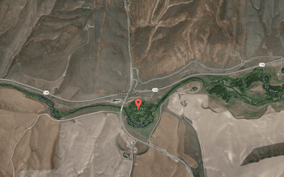 The Importance of Place