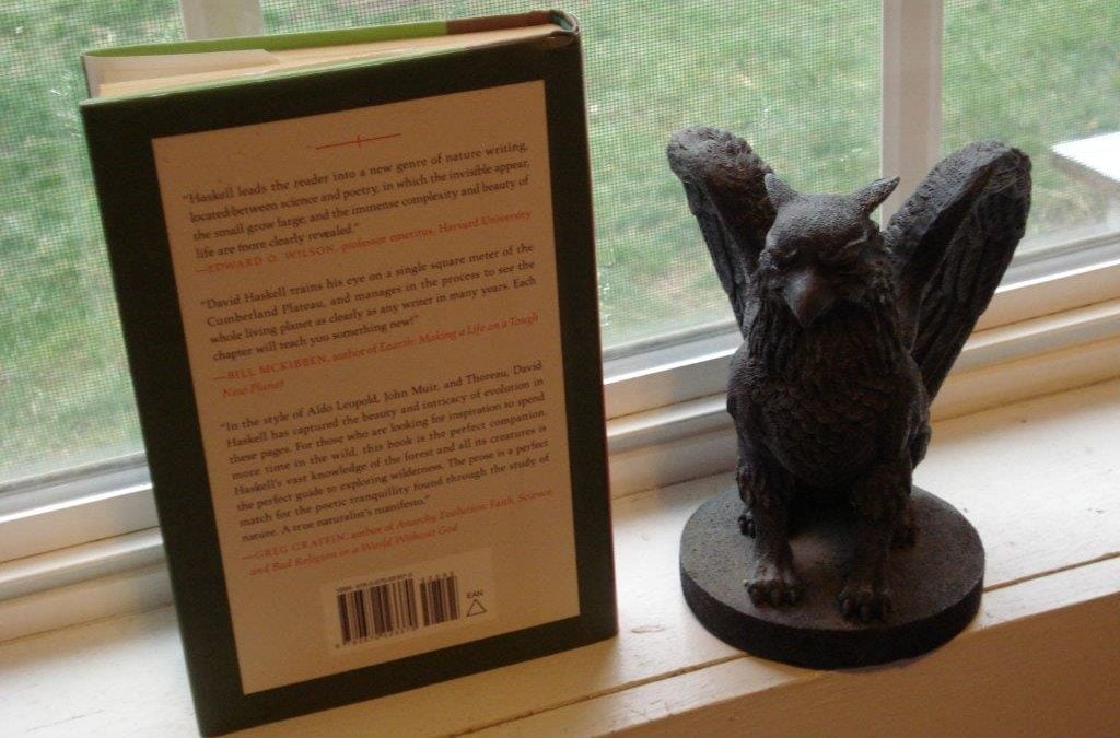 The Joys of Blurb Craft