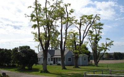 The House that Kate and Jack Built