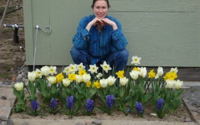 “Spring” Update-Speaking, Writing, House Hunting