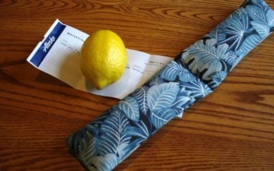 Lemonade, Plus TSA