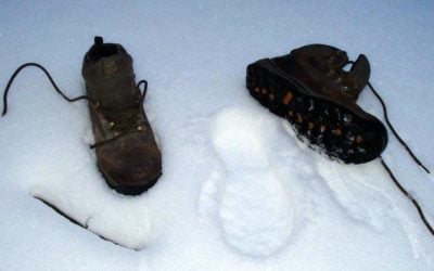 Déjà vu Winter