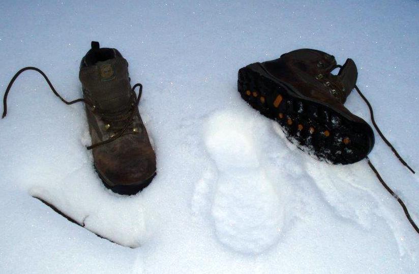 Déjà vu Winter
