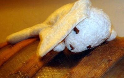 Matley Boys Bunny Mystery
