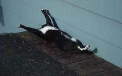 Rest and Relaxation