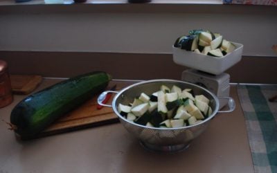 Zucchini and the Person Inside