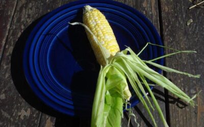 Perishables and the People Inside