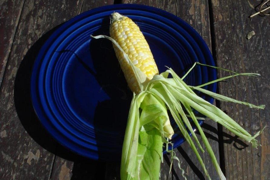 Perishables and the People Inside
