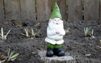 Gnomes and Gnocchi with the People Inside
