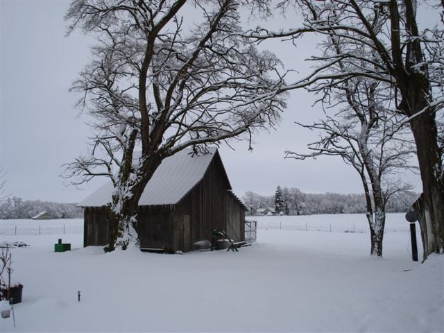 Winter and the People Inside