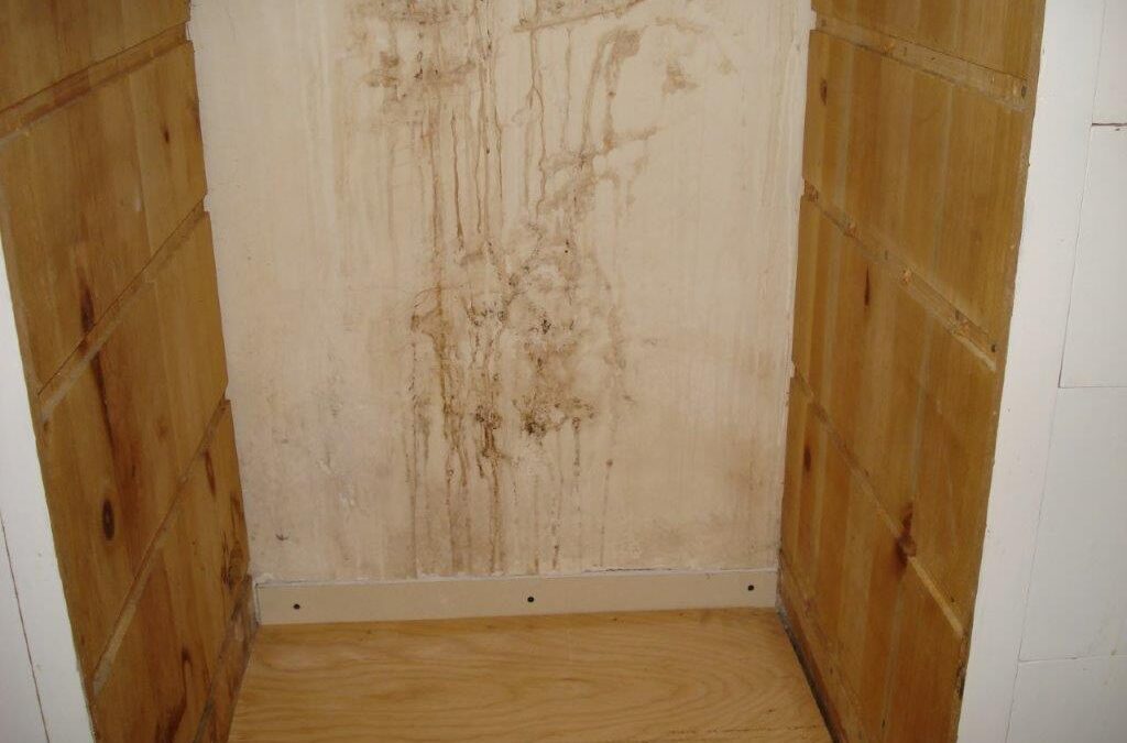 Mold and the People Inside