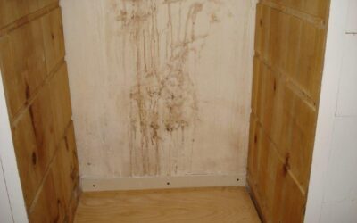 Mold and the People Inside