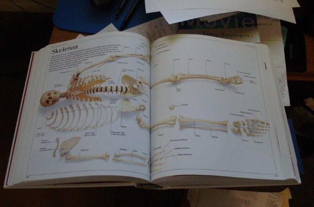 Bones and the People Inside