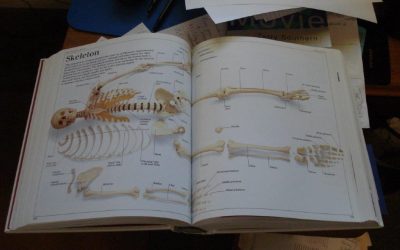 Bones and the People Inside