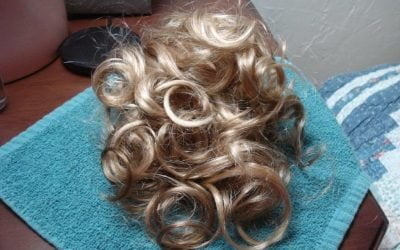 Hair Raising Tales with the People Inside