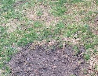 Septic Issues and the People Inside