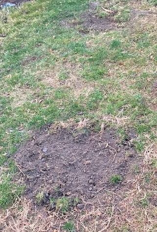 Septic Issues and the People Inside