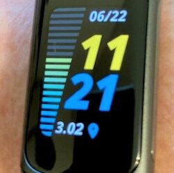 Fitbit Fits with the People Inside