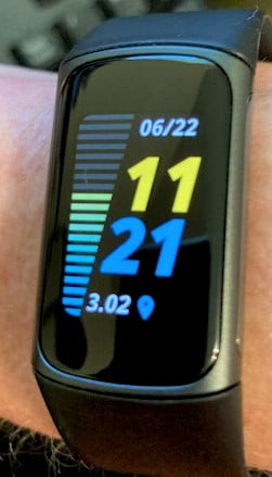 Fitbit Fits with the People Inside