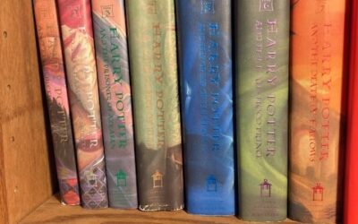 Reading a Series with the People Inside