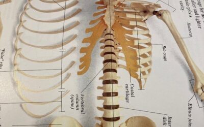 Skin and Bones with the People Inside