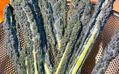 Kale Tales with the People Inside